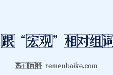 跟“宏观”相对组词是什么意思的图片